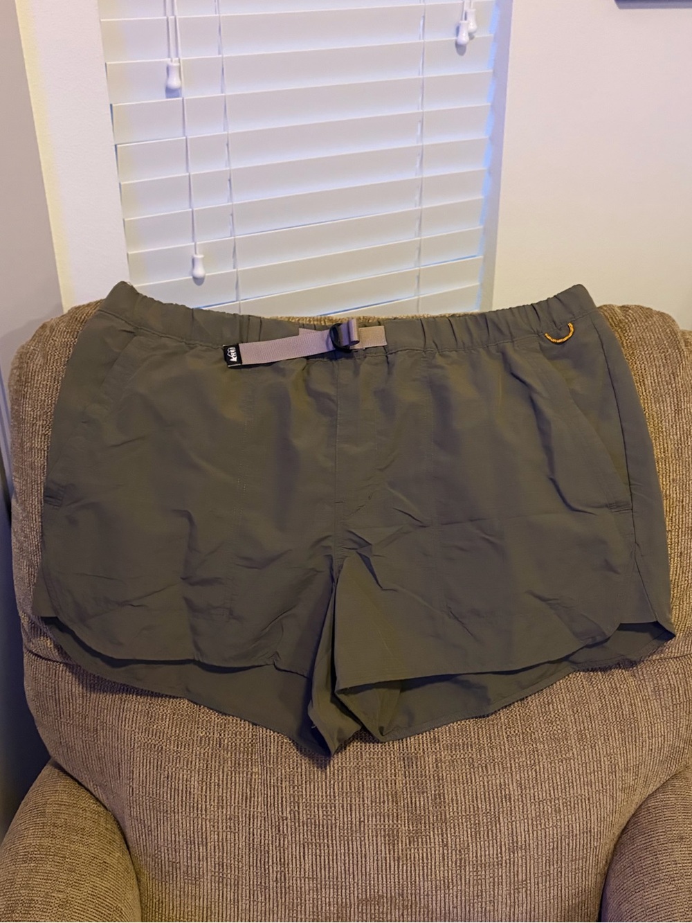 REI Shorts